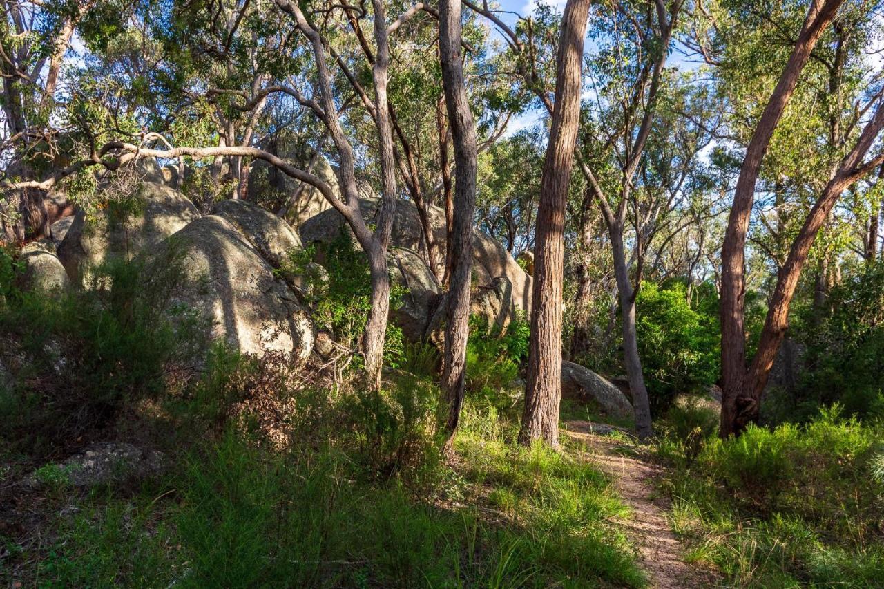 Granite Belt Motel Stanthorpe Εξωτερικό φωτογραφία